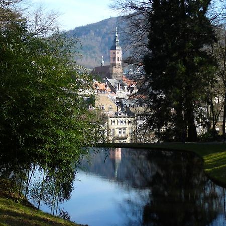 Ferienwohnung Am Krippenhof Baden-Baden Extérieur photo