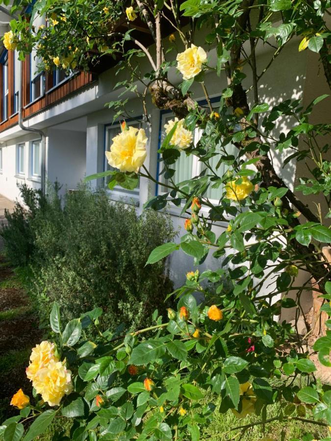 Ferienwohnung Am Krippenhof Baden-Baden Extérieur photo