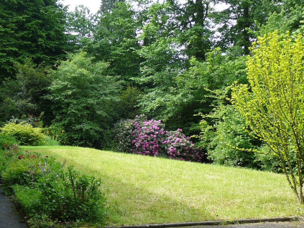 Ferienwohnung Am Krippenhof Baden-Baden Extérieur photo