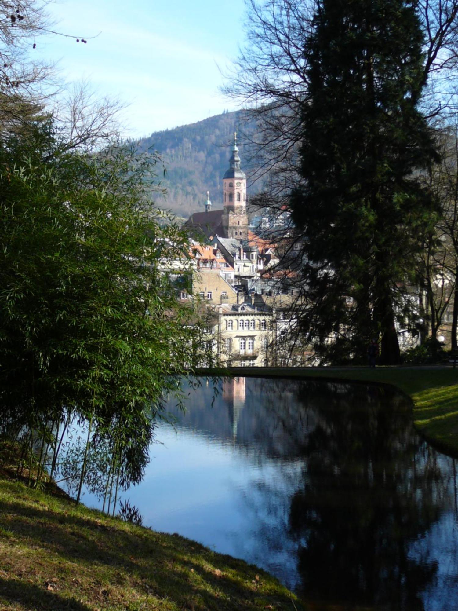 Ferienwohnung Am Krippenhof Baden-Baden Extérieur photo